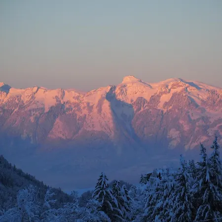 Vanezer * Innerlaterns