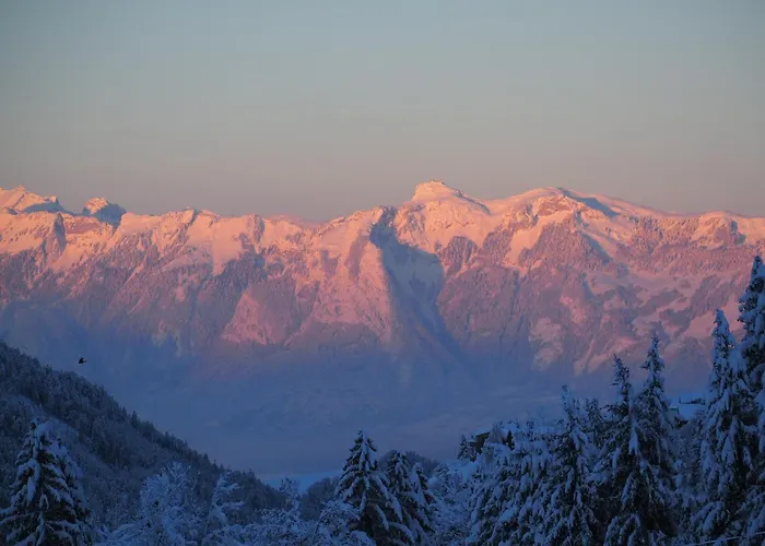 Vanezer * Innerlaterns